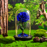 AINYROSE Forever Rose In Glass With Light Blue
