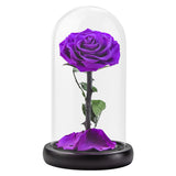 AINYROSE Classic Purple Forever Rose