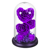 AINYROSE Forever Heart Rose-3 pcs