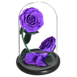 AINYROSE Forever Rose-Purple