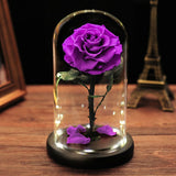 AINYROSE Forever Rose In Glass