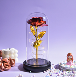 AINYROSE Enchanted Galaxy Forever Rose