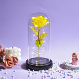 AINYROSE Forever Galaxy Rose