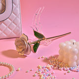 AINYROSE 24K Gold Dipped Rose Forever Rose