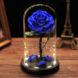 AINYROSE Forever Rose In Glass