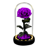 AINYROSE Forever Rose In Glass With Light Purple