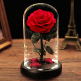 AINYROSE Forever Rose In Glass