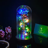 AINYROSE Galaxy Forever Rose-Blue