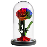 AINYROSE Classic Colorful Forever Rose