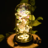 AINYROSE Enchanted Butterfly Rose Galaxy Forever Rose