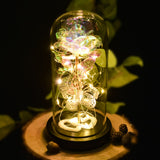 AINYROSE Forever Galaxy Rose