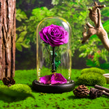 AINYROSE Forever Rose In Glass With Light Purple