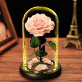 AINYROSE Forever Rose In Glass