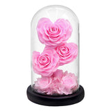 AINYROSE Forever Heart Rose-3 pcs