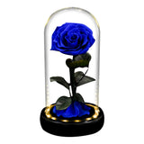 AINYROSE Forever Rose In Glass With Light Blue