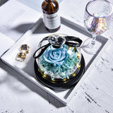 AINYROSE LED Heart Glass Forever Rose 5 Colors